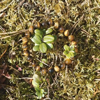 Tiikerinsilmä  rannekoru 8mm