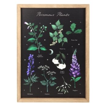 Taulu Poisonous Plants