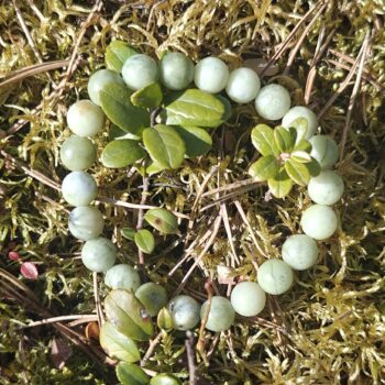 Rannekoru kiinalainen jade